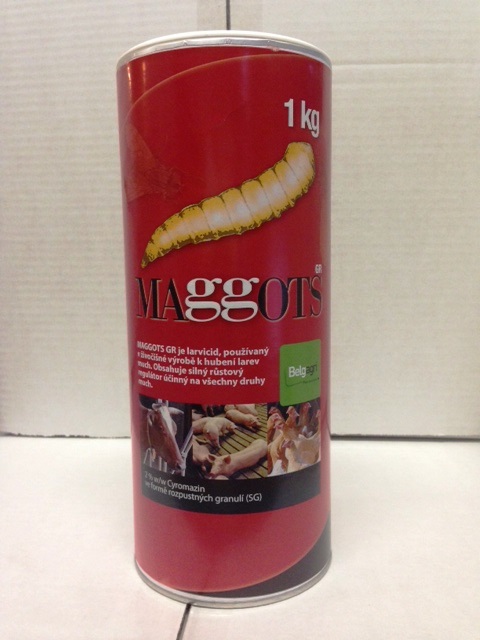 MAGGOTS 1KG MAGGOTS 1KG