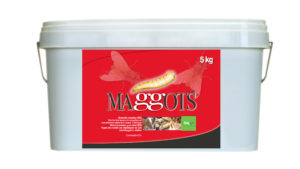 MAGGOTS 25 KG MAGGOTS 25 KG